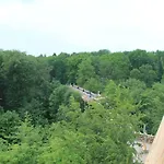 Wiemann-sander