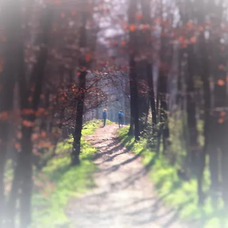 Wiemann-sander Bad Iburg